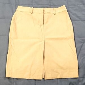 Beautiful rayon skirt from express